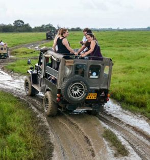 Kaudulla National Park