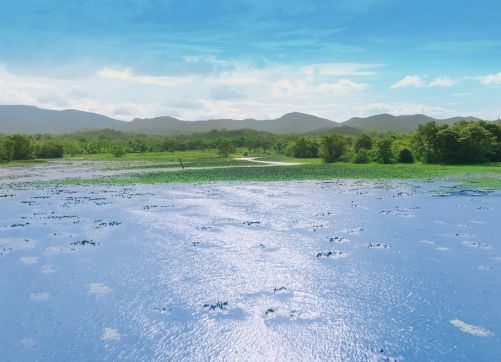 Dunuwila-Lake-Matale