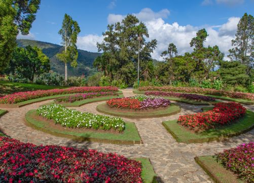 Hakgala-Botanical-Garden-