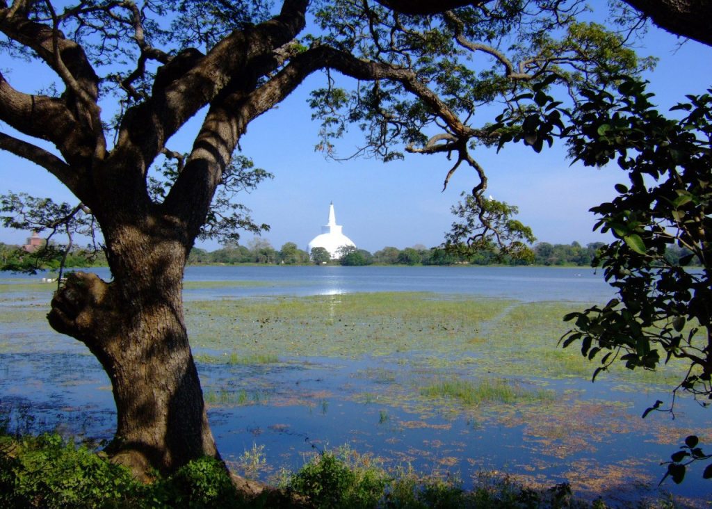 Sri Lanka 7 Days Buddhism Tour