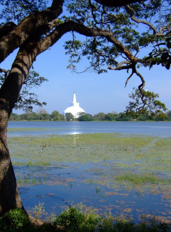 Sri Lanka 7 Days Buddhism Tour